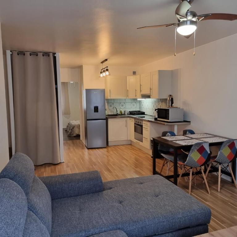 Appartement T2 45 M2 Meublé 3 étoiles tout confort hyper centre de Dax - Appartement 1 Chambre - 10