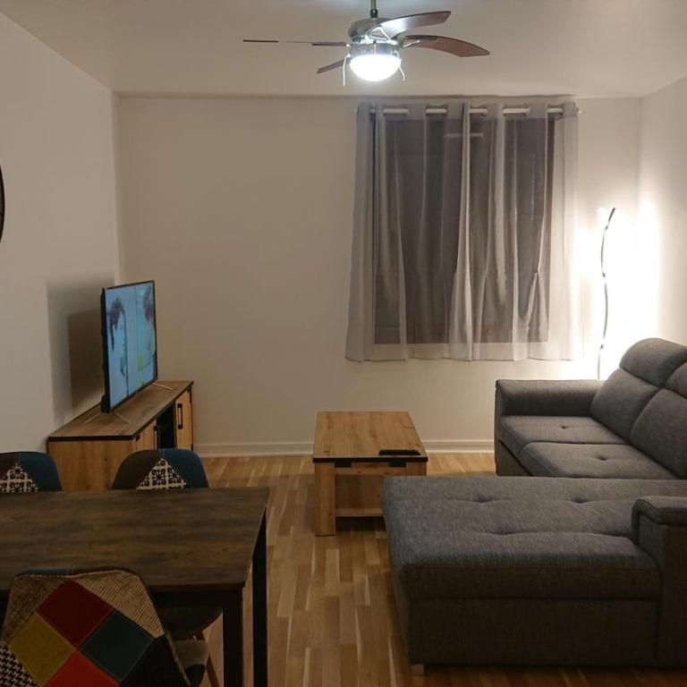 Appartement T2 45 M2 Meublé 3 étoiles tout confort hyper centre de Dax - Appartement 1 Chambre - 7