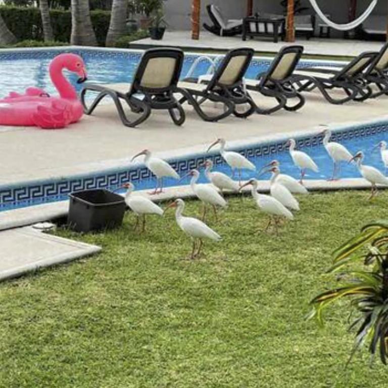 Villas La Marina - Deluxe Villa - 27