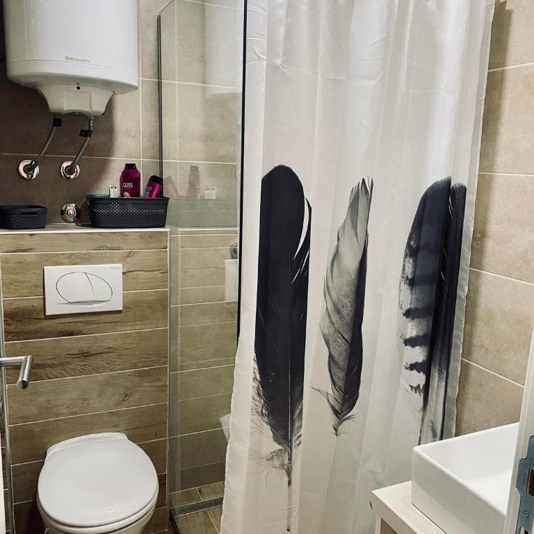 Kopaonik Milmari Apartment N95 - Apartman sa 1 Spavaćom Sobom - 21