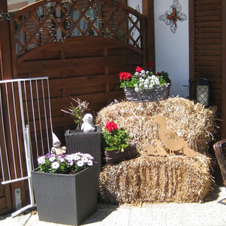Landhaus Wiesenhof - Apartment mit Terrasse - 8