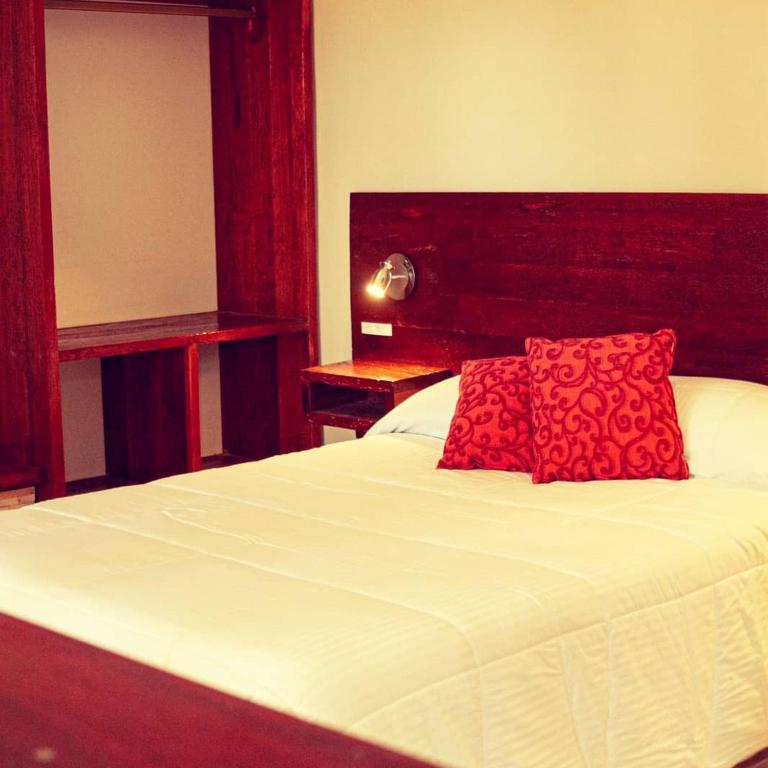 River House Diamante - Apartamento de 1 dormitorio - 1
