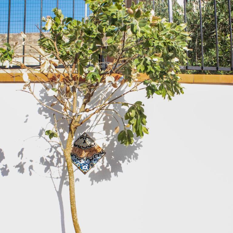 Villa Rosanna - One-Bedroom House - 19