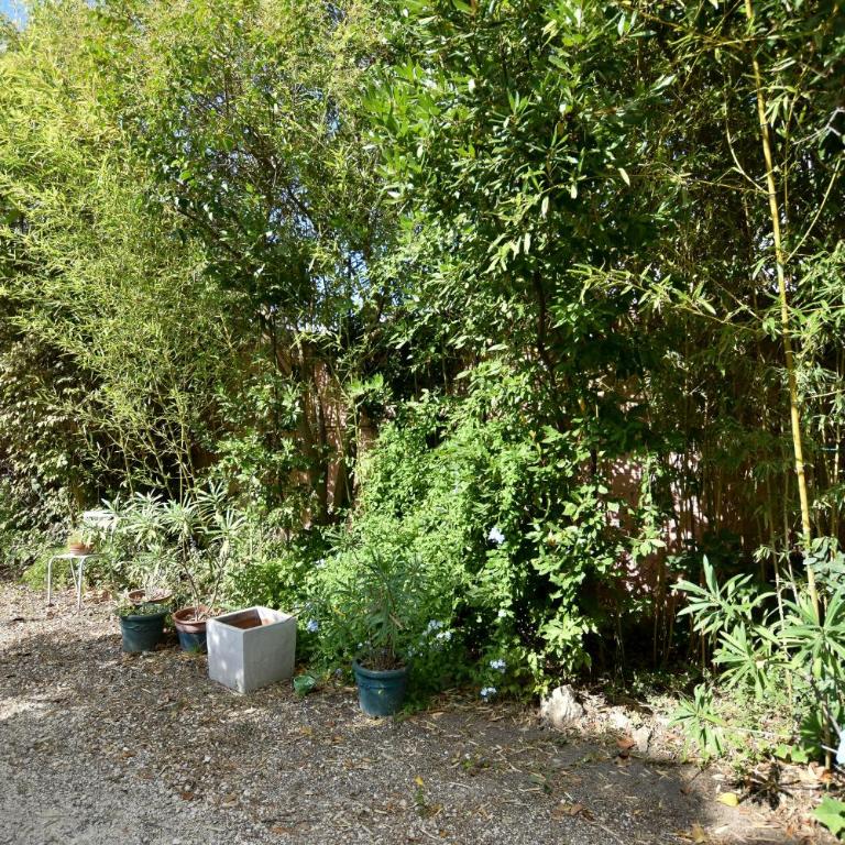 Moulin Rose, Parking - Jardin - Appartamento - 4