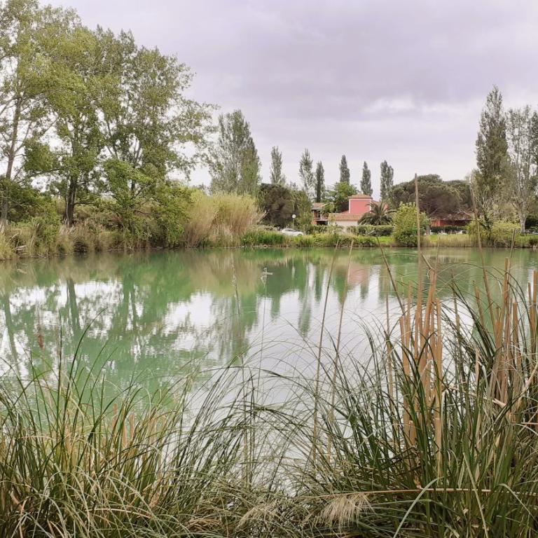 Studio 24 m2 - Hameaux de Camargue - village 9 - 13200 Arles - One-Bedroom Apartment - 17