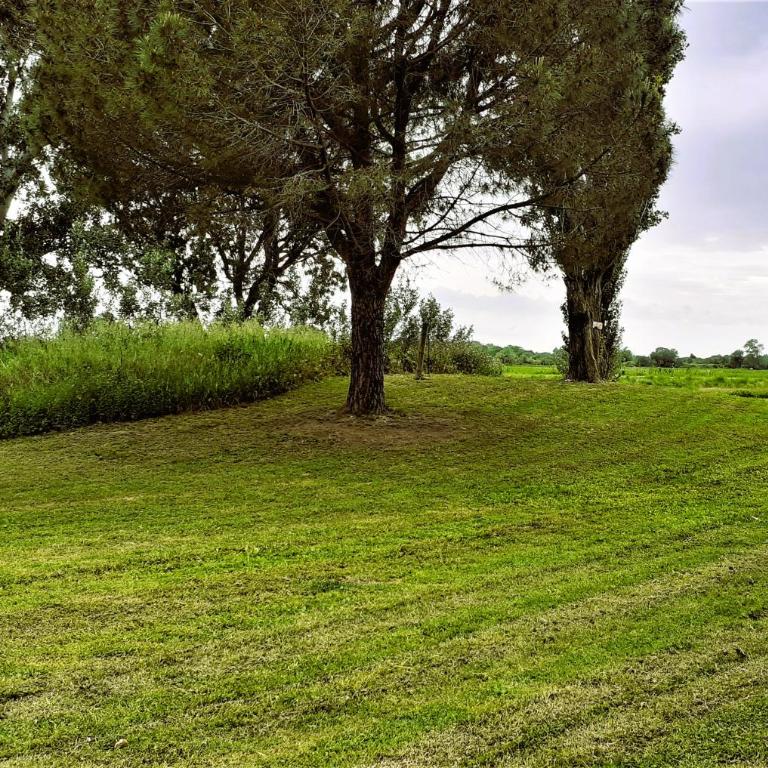 Studio 24 m2 - Hameaux de Camargue - village 9 - 13200 Arles - One-Bedroom Apartment - 13