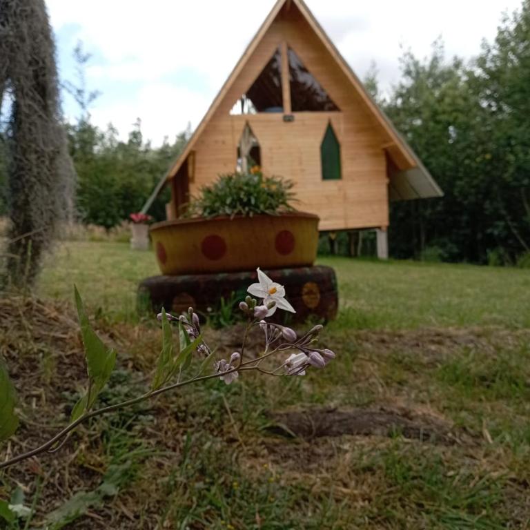 Glamping las 4 estaciones - One-Bedroom Cottage - 4