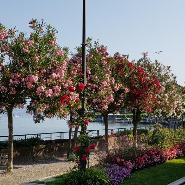 Casakatty - Appartamento con Vista Lago - 35