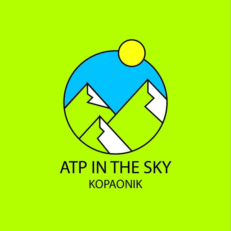 Apt in the Sky - Kopaonik Kraljevi Čardaci - One-Bedroom Apartment - 18