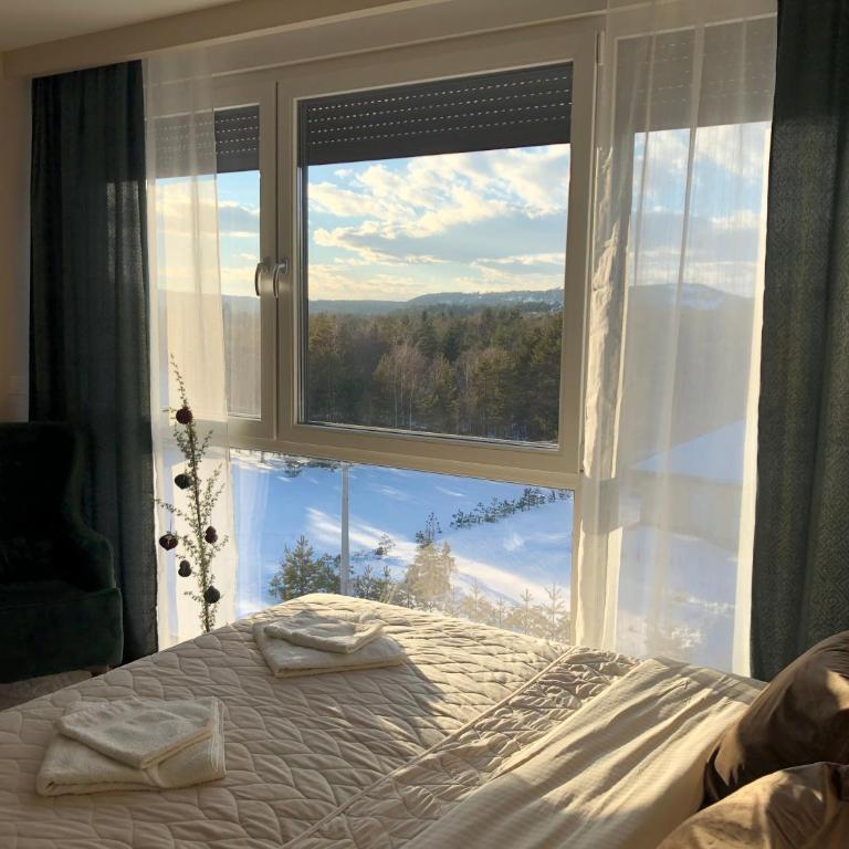 Apartman Ambijent Divcibare - Deluks Studio sa Queen Krevetom - 15