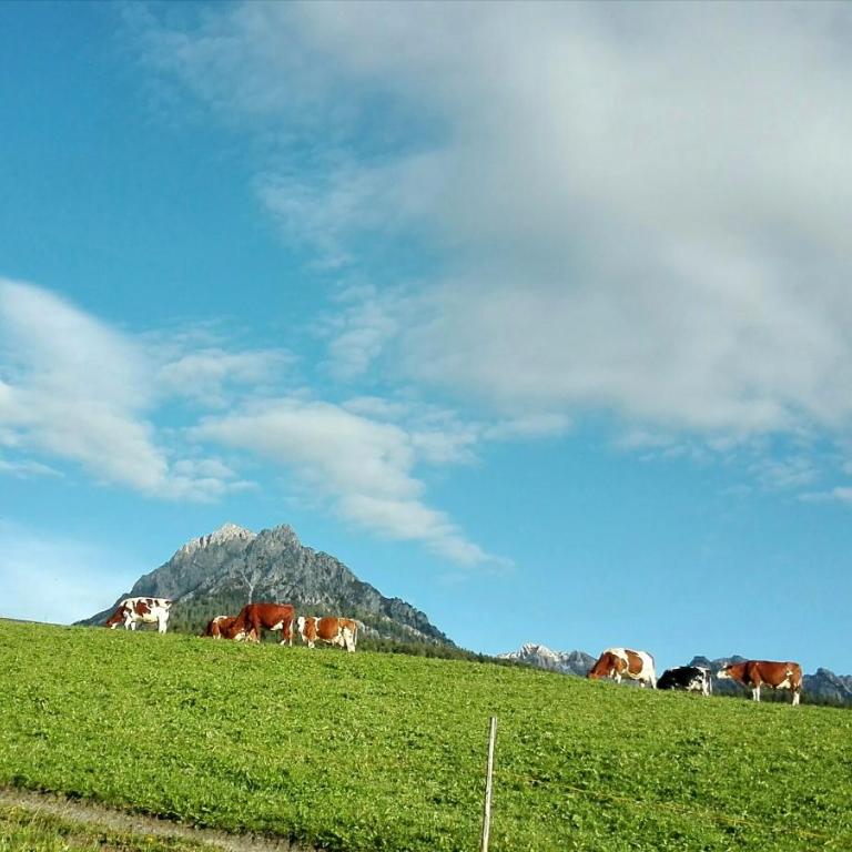 Lü de Terza - Appartamento con 2 Camere da Letto e con Vista Montagna - 15