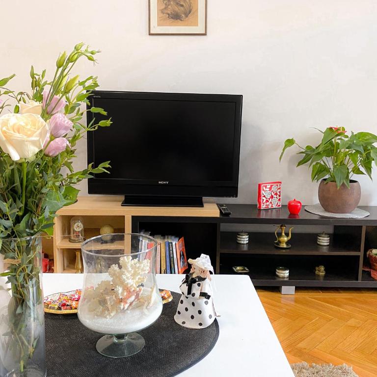 Bueno Apartment - Apartman sa 1 Spavaćom Sobom - 5