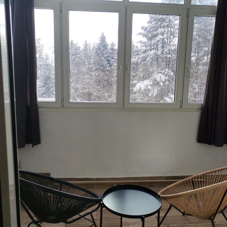 APARTMAN BOJANA - One-Bedroom Apartment - 16