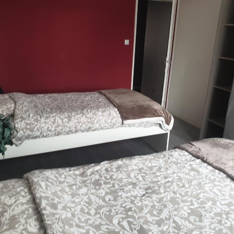 Mulhouse,Grand appart cosy&lumineux, 78m2 , pour 5 personnes - Apartamento de 2 dormitorios - 21