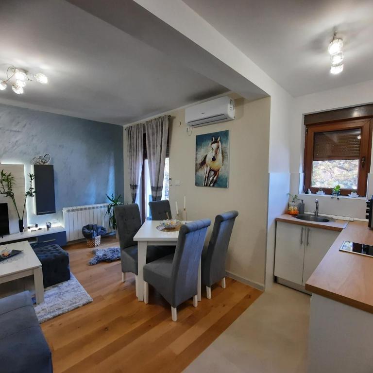 Apartman Korićanac Vrnjačka Banja - Apartman sa 1 Spavaćom Sobom - 5
