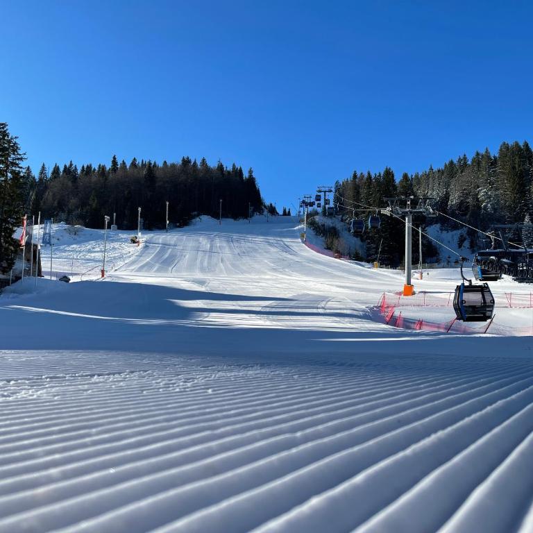 Ski Rest Jahorina - Apartment - 44