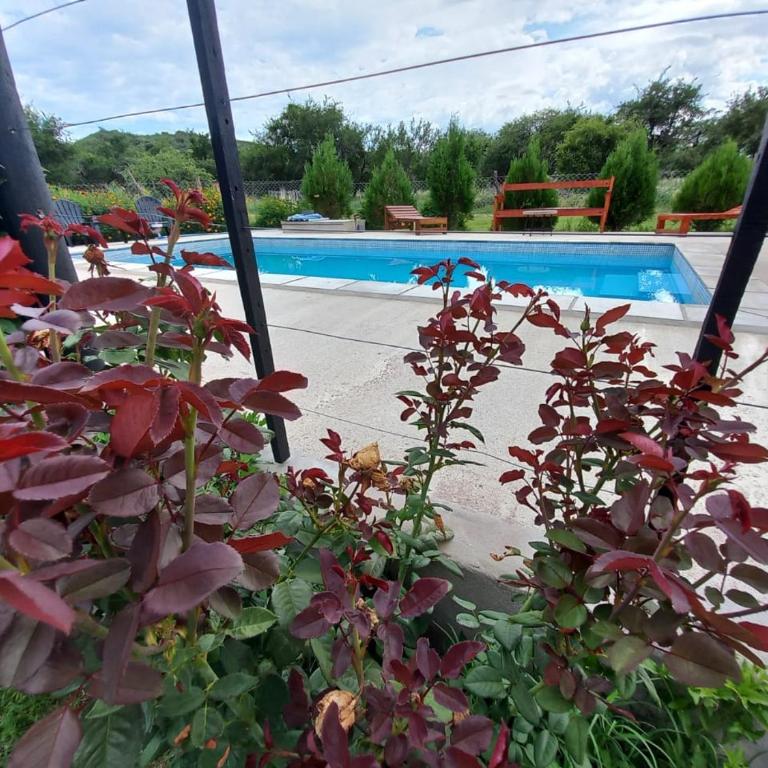 Susurro de Montaña - Habitación Doble Deluxe con acceso a la piscina - 1 o 2 camas - 4