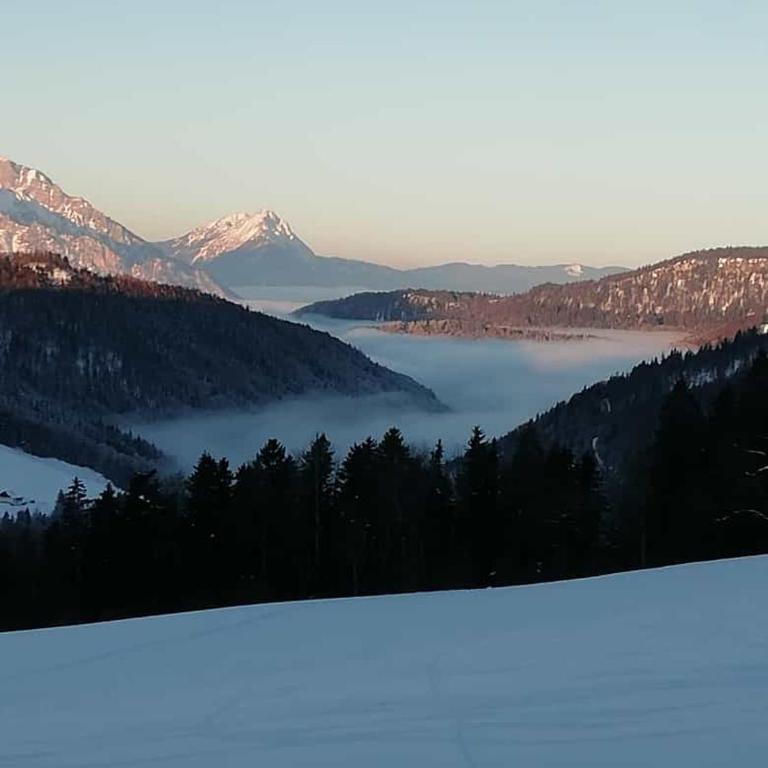 Ferienhaus Englbrecht - Apartment mit Blick auf die Berge - 35