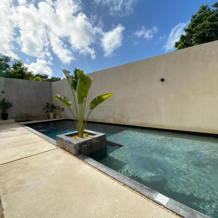 Zen Tulum - Estudio Superior - 1