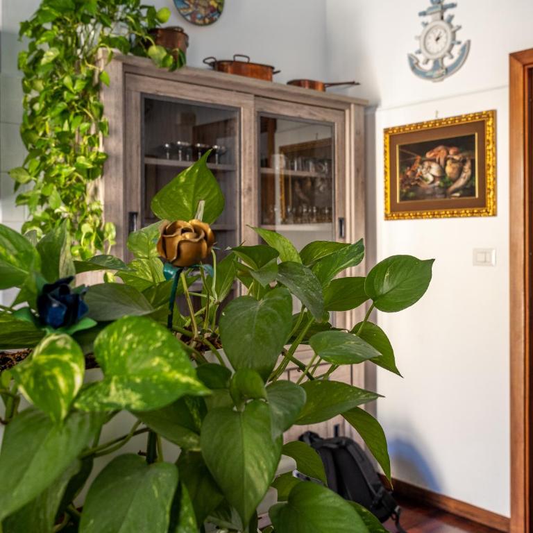 La Vita è Bella - De Vivo Realty Sorrento - Two-Bedroom Apartment - 17