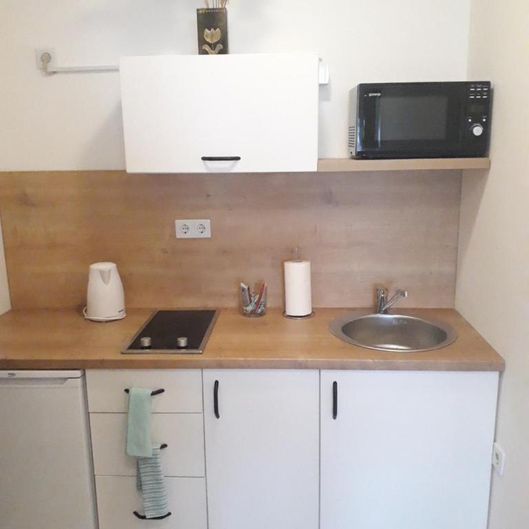 Studio apartman Promenada - Apartment with Balcony - 10