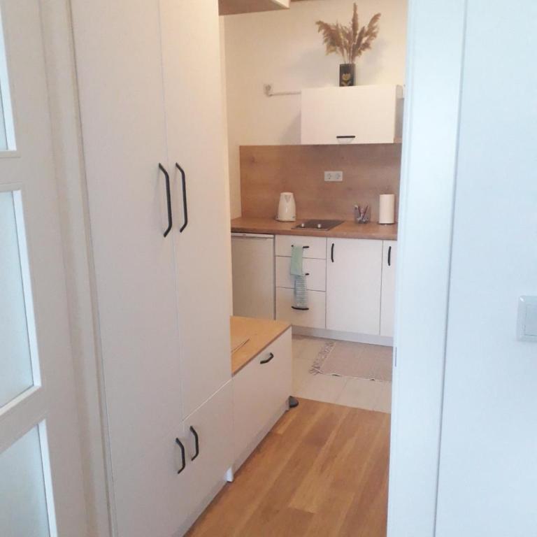 Studio apartman Promenada - Apartment with Balcony - 9