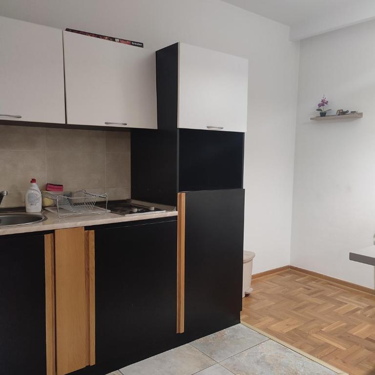 Zlatiborski Konaci-Apartman Maletic - Apartman sa 1 Spavaćom Sobom - 10