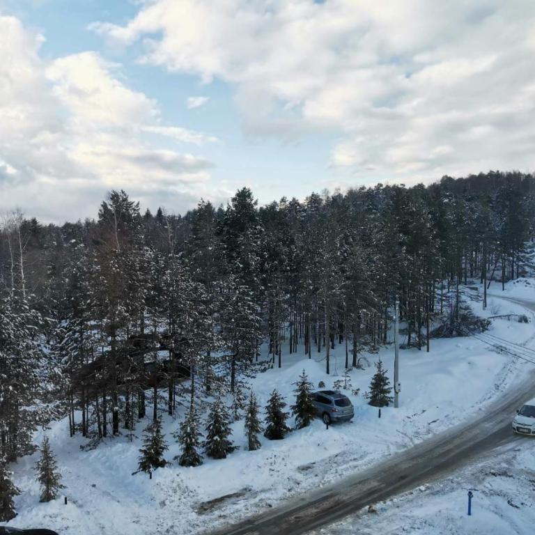 Divčibare Jezero apartman 25 - Apartman sa 1 Spavaćom Sobom - 14