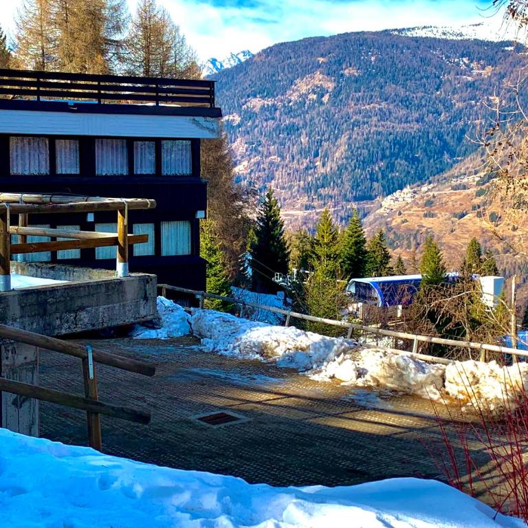 **NEW**Marilleva 1400**TRILOCALE sulle piste - Apartment mit 2 Schlafzimmern - 18