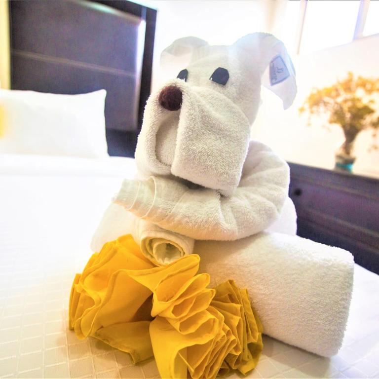 Hotel Plaza Mirador - Superior Suite - 4