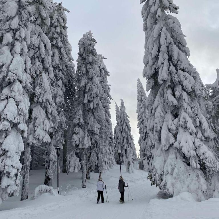 MIR i LIRA apartmani Kopaonik - One-Bedroom Apartment - 56