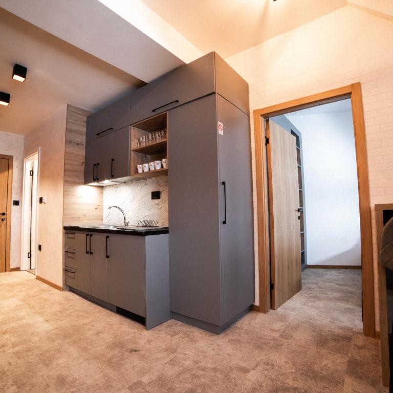 Apartments Suncani Vrhovi Kopaonik - One-Bedroom Apartment - 3