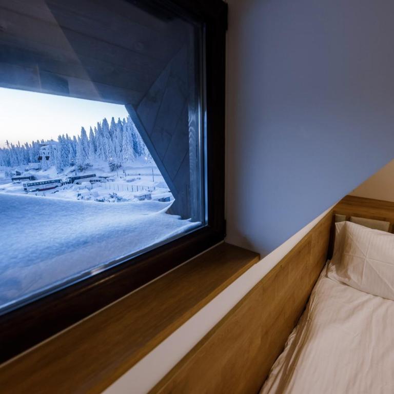 Apartments Suncani Vrhovi Kopaonik - One-Bedroom Apartment - 14