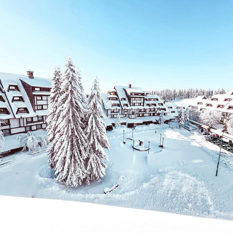 Apartments Suncani Vrhovi Kopaonik - One-Bedroom Apartment - 1