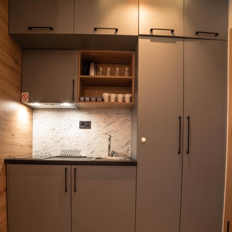 Apartments Suncani Vrhovi Kopaonik - One-Bedroom Apartment - 4