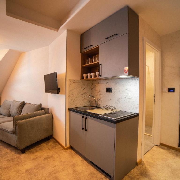 Apartments Suncani Vrhovi Kopaonik - One-Bedroom Apartment - 6