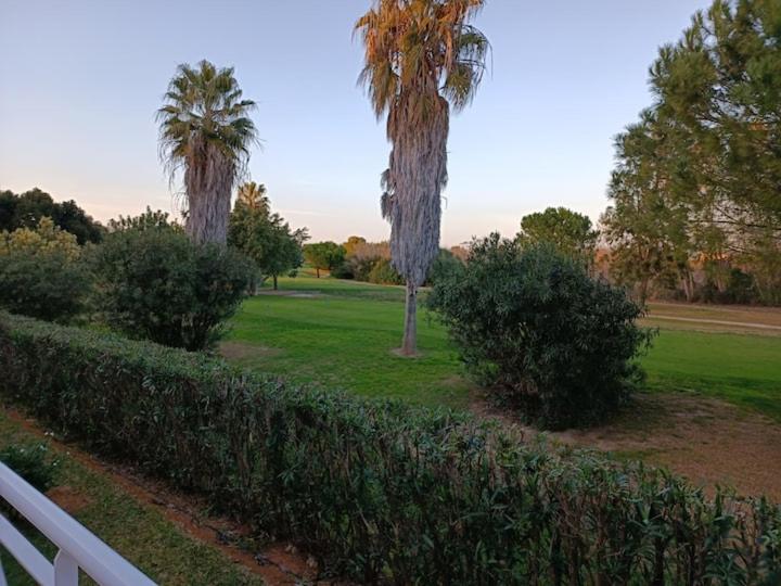 MET&GOLF OLIVA NOVA BEACH JARDIN - Apartamento de 2 dormitorios - 36