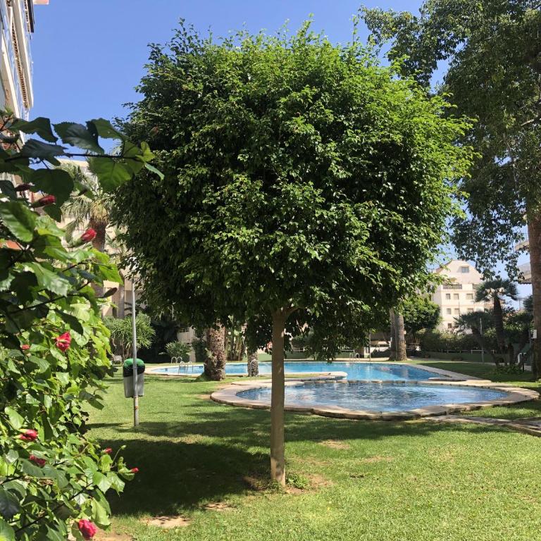 Dianium A-Serviden - Apartamento - 13