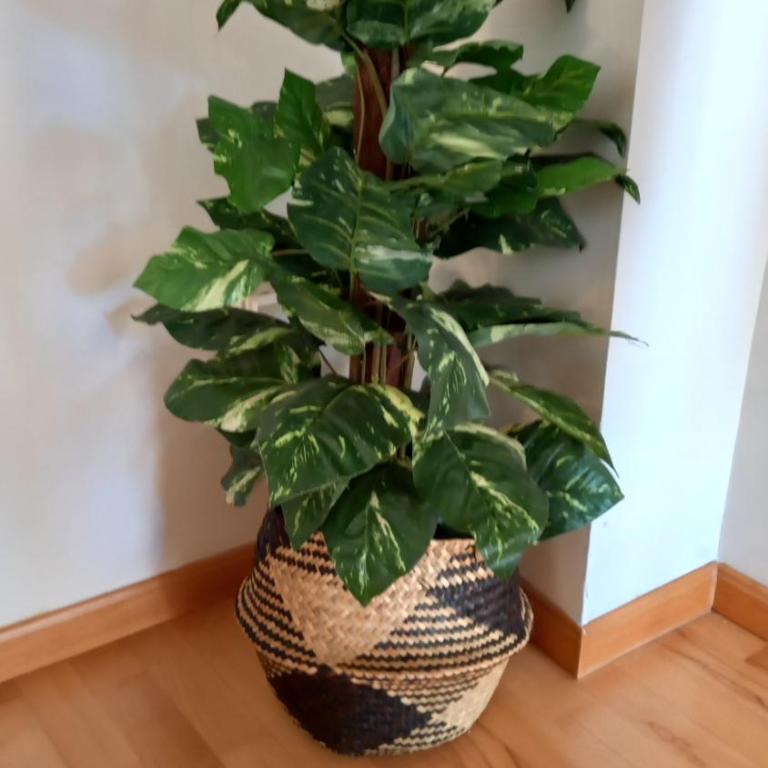 Martin Gamero Apartments - Apartamento de 1 dormitorio - 23