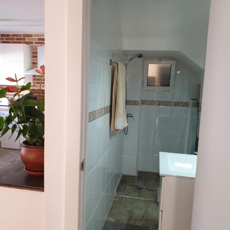 Casa Sol y Luna - Three-Bedroom House - 6