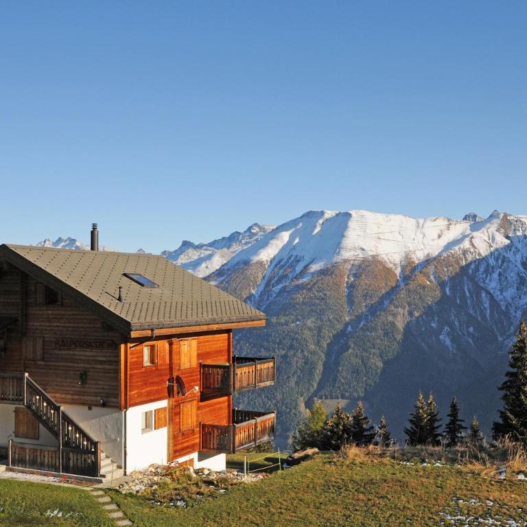 Alpenhaus Bettmeralp - Studio (2 Personen) - 3