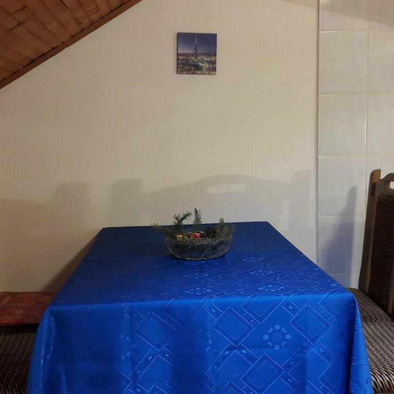 Sanja Accomodation - Penthaus Apartman - 3