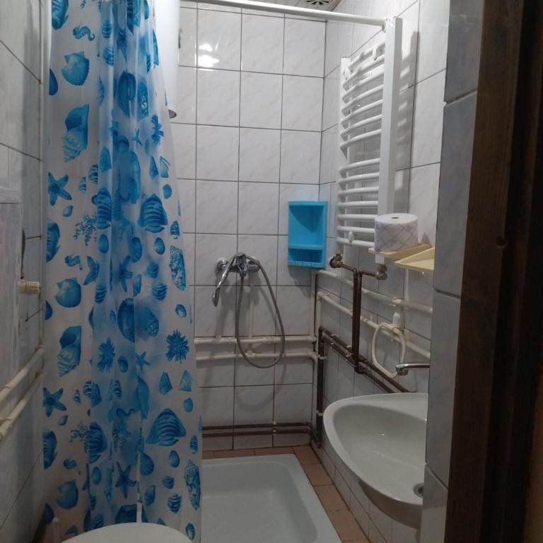 Sanja Accomodation - Penthaus Apartman - 9