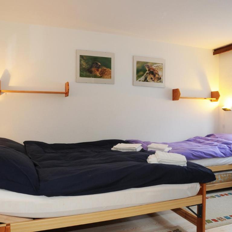 Alpenhaus Bettmeralp - Apartment mit 1 Schlafzimmer (2-4 Personen) - 16