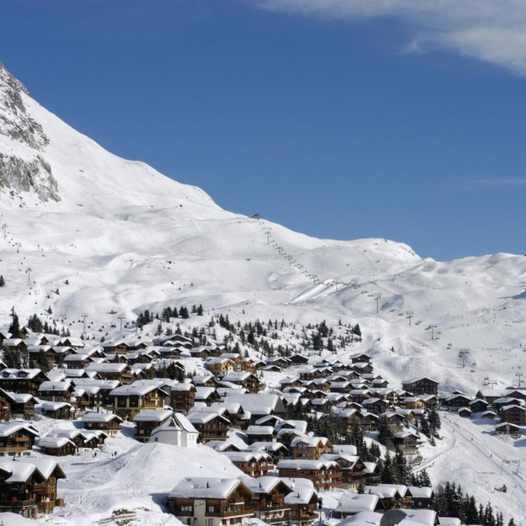 Alpenhaus Bettmeralp - Apartment mit 1 Schlafzimmer (2-4 Personen) - 20