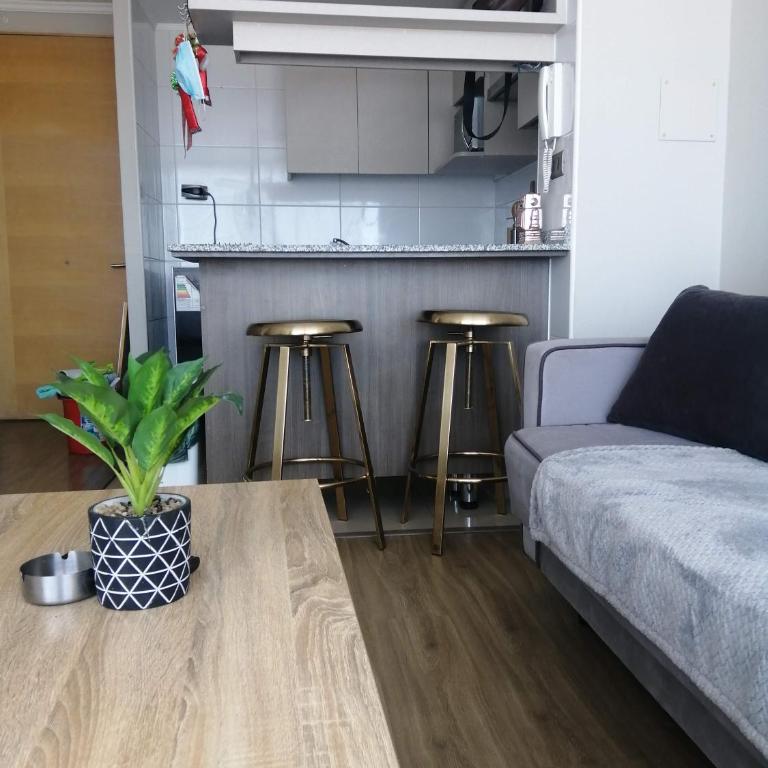 2 Torres Calama - Apartamento Estándar de 1 dormitorio - 2
