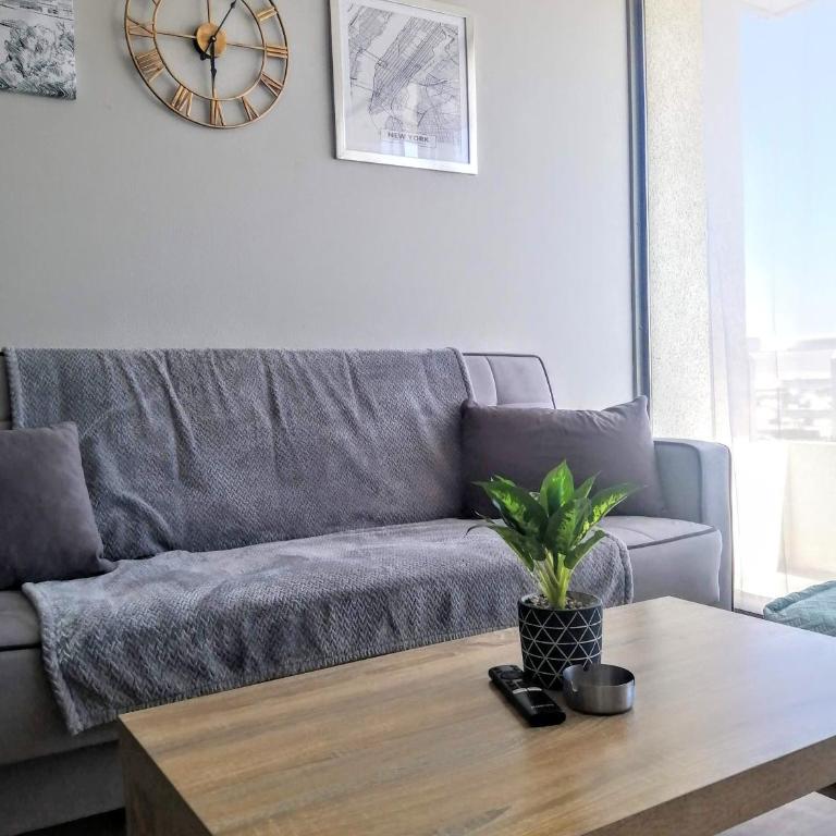 2 Torres Calama - Apartamento Estándar de 1 dormitorio - 3