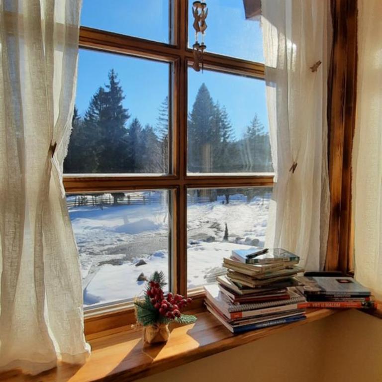 Planinska kuća Paun Pale - Villa with Garden View - 1