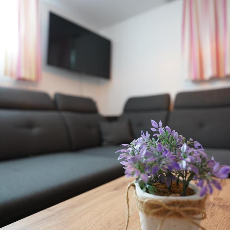 Elinas Mountain Views - Apartment mit 1 Schlafzimmer - 9