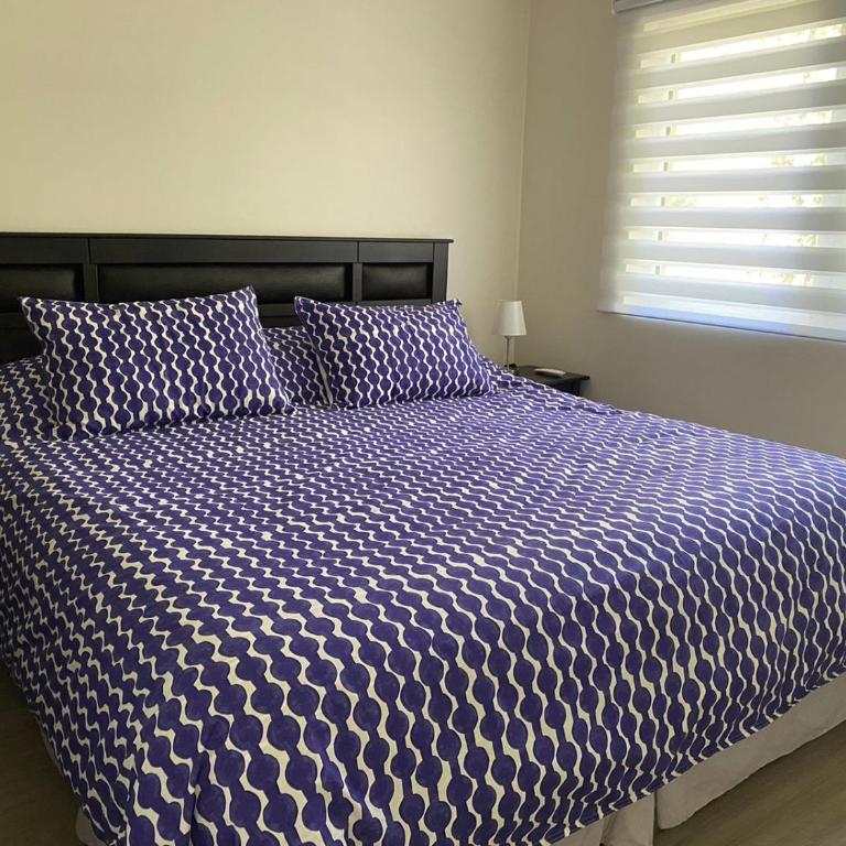 Departamento Pucón Andino - One-Bedroom Apartment - 6